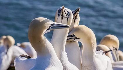 九游app-【早报】别了，永远的迭戈...