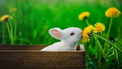 九游-【冷知识】扑点和绝杀上港的那两个人，到底是谁？